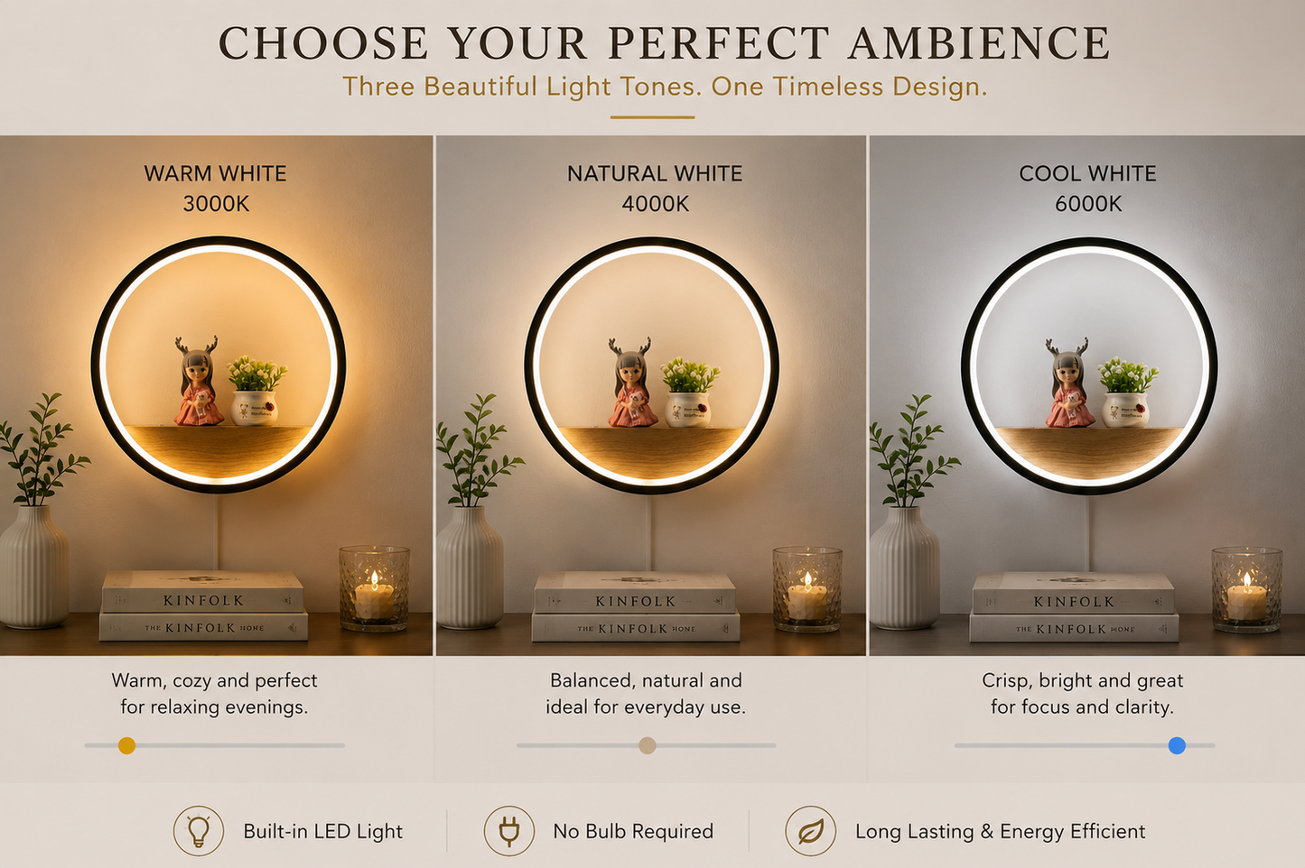 Minimalist wall mounted display shelf with lighting