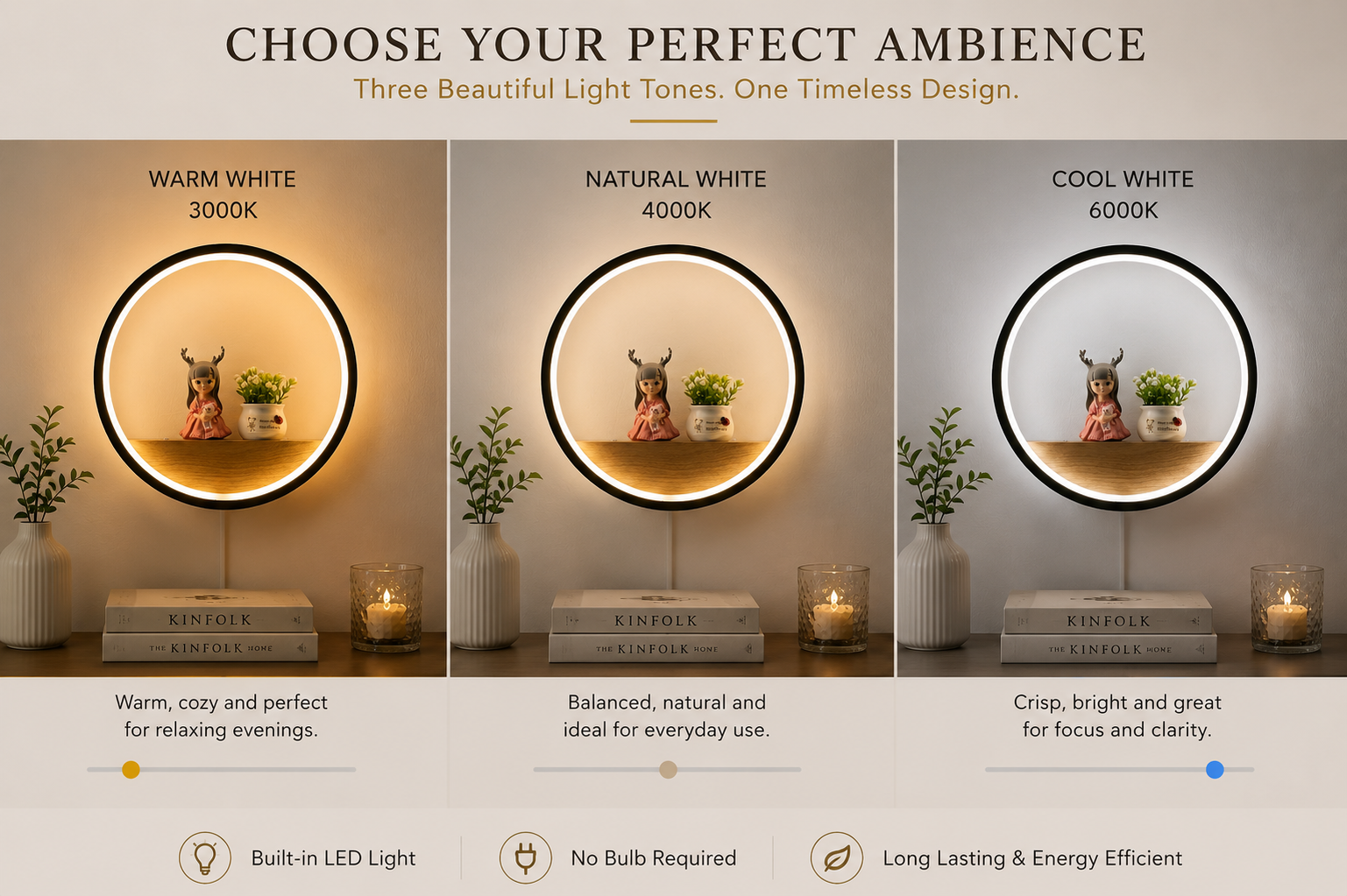 Minimalist wall mounted display shelf with lighting